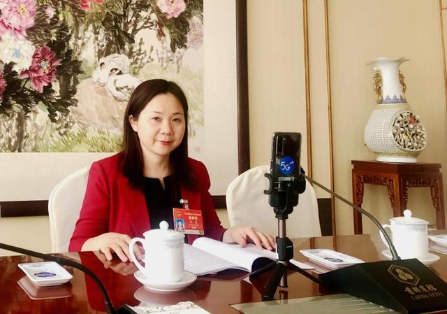 全国人大代表、广东百浩律师事务所主任黎霞