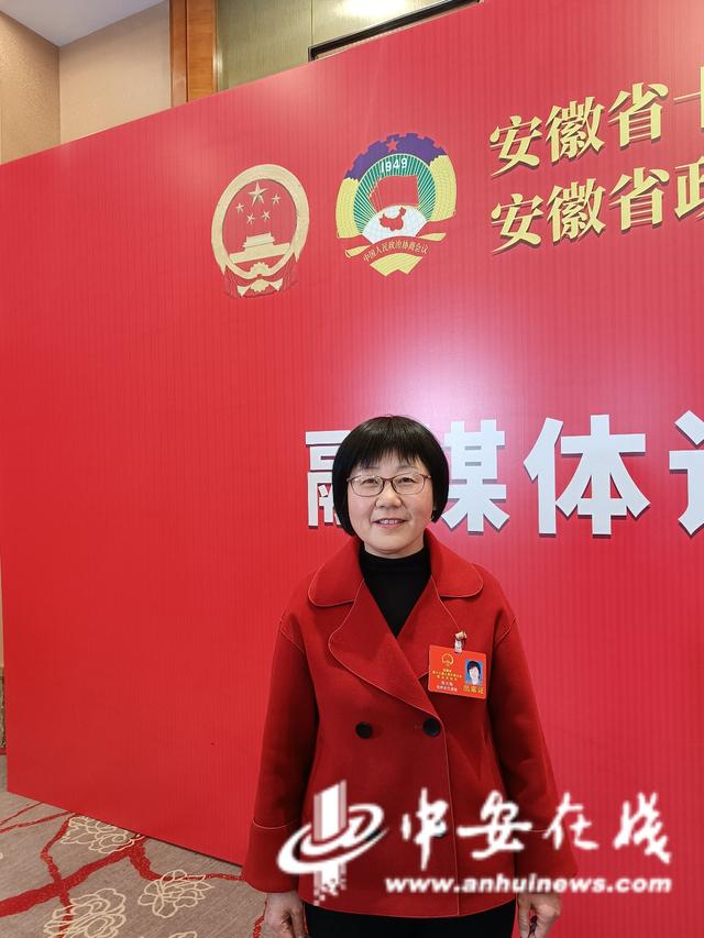 省人大代表张大艳