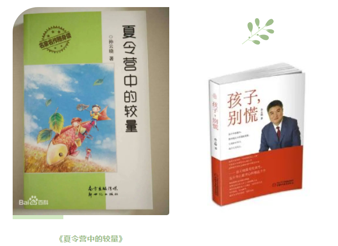 家庭教育专家孙云晓著作