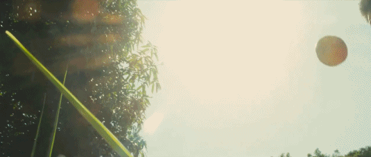 电影《传奇的诞生》贝利