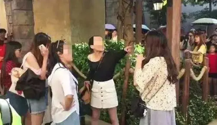 孔雀遭拔毛被碾死亡，孩子幸灾乐祸！我们看到家庭教育的缺失